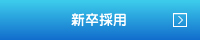 新卒採用